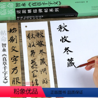 [正版]学海轩 智永真草千字文 近距临摹字卡 原帖放大附简体旁注 可散页使用真书楷书草书毛笔书法练字帖古贴帖帖革命河南