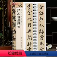 [正版]学海轩赵孟頫胆巴碑碑帖书法临摹字卡简繁体旁注原碑原帖楷书毛笔书法字帖耘俗斋编近距离临摹练字卡
