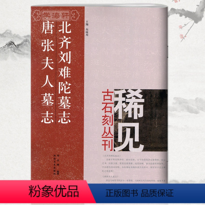 [正版]学海轩北齐刘难陀墓志唐张夫人墓志尚晓周稀见古石刻丛刊繁体译文楷书隶书毛笔字帖书法成人学生临摹碑帖书籍河南美术出