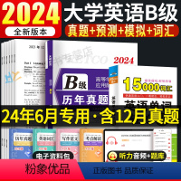 [正版]2024年6月大学英语b级真题考试真题试卷英语三级考试历年真题B级词汇高等学校大学英语ab级3三级b英语备考复