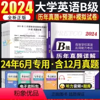 [正版]2024年6月大学英语B级历年真题详解英语b级真题英语b级应用能力考试B级英语三级真题试卷备考英语三级b复习资