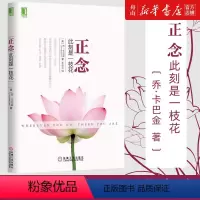 [正版]书店 正念(此刻是一枝花) (美)乔·卡巴金 正念减压之父代表作 机械工业出版社 9787111499220