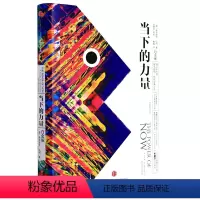[正版]书店 当下的力量:白金版 埃克哈特·托利 出版社 9787508661766