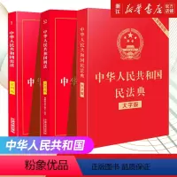 [正版]书店 +刑法+民法典大字版(共3册) 全新修订 中华人民共和国刑法实用版法律汇编 中国法制