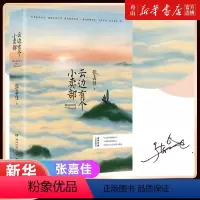 [正版] 云边有个小卖部 张嘉佳 让刘十三陪着你 走进云边镇的春夏秋冬 见证每一场相遇与离别 青春文学励志小说书籍