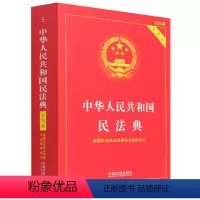 [正版]中华人民共和国民法典(实用版根据民法典总则编司法解释修订) 中国法制出版社 9787521610130中国法
