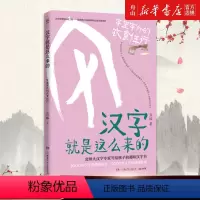 汉字就是这么来的(字里字外的衣食住行) [正版]书店 汉字就是这么来的(字里字外的衣食住行) 孟琢 湖南少年儿童出版社