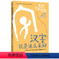 汉字就是这么来的 [正版]汉字就是这么来的(走进汉字世界) 孟琢 湖南少年儿童出版社 9787556251919中国儿童