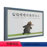 是谁嗯嗯在我的头上 [正版]书店 是谁嗯嗯在我的头上 霍尔茨瓦特,埃布鲁赫 河北教育出版社 9787543464629