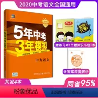 [正版]20205年中考3年模拟中考语文全国版五年中考三年模拟语文初三九年级总复习辅导资料书53五三初中语文教辅书含2