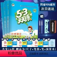 [正版]2022新版53天天练六年级下册语文数学英语pep人教版全套3本五三5.3天天练小学6六年级下册同步训练习册辅