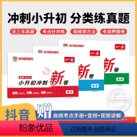 [赠语文手册]语数英 一本冲刺小升初 三步分类练真题赠视频讲解全国通用 小学升初中 [正版]一本小升初冲刺新卷 真题卷2