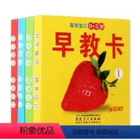 [正版]甲壳虫 聪明宝贝早教卡(0-3岁1).2.3.4(全4册)0-3岁宝宝早教启蒙认知书卡片小手 0521