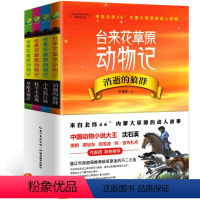 [正版]全4册台来花草原动物记 消逝的狼群动物小说大王沈石溪黑鹤谭旭东等小学生课外阅读书籍二三四五六年级8-9-10一