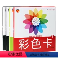 [正版]聪明宝贝视觉激发全4册 黑白卡彩色卡 启蒙大卡儿童早教学习卡婴儿早教卡片 6个月-3岁 视觉激发卡片益智启蒙认