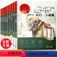 [正版]沈石溪画本全套8册 后一头战象白象家族红奶羊第七条猎狗沈石溪经典动物小说全集儿童文学故事书籍学生漫画绘本的书全