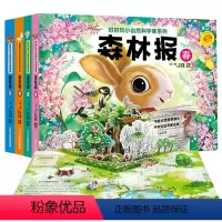 [正版]神奇生命立体书小自然科学家系列森林报春夏秋冬4册儿童绘本早教故事书幼儿3d翻翻立体书0-3岁宝宝睡前故事启蒙认