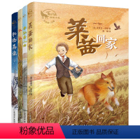 [正版]红狐莱茜回家4册 书精装版三年级四年级课外读物小学生10-11-12-14周岁课外书经典童书课外阅读书籍
