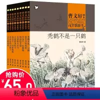 [正版]草房子曹文轩系列画本全套9册 四年级五年级六七年级八年级九年级小学生初中生课外书文学阅读书籍班主任8-12-