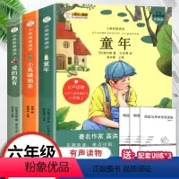 [正版]老师爱的教育小英雄雨来童年书全套3册 高尔基原著完整版6年级小学生六年级课外阅读书籍上册快乐读书吧五年级四年级