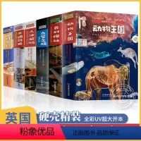 《how it works》奇妙知识大图解全套6册 [正版]英国百科全书全套6册 《how it works》奇妙知识大