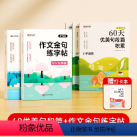 [6册]作文金句练字帖+60天优美句段篇积累 小学通用 [正版]时光学作文金句练字帖 小学作文素材大全积累语文3-6年级