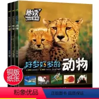 [全3册暴读百科]昆虫动物世界宇宙百科全书小学生科普课外阅读书 [正版]暴读百科 全套3册 好多好多的动物 好大好大的宇