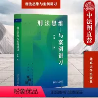 [正版]中法图 2023新 刑法思维与案例讲习 陈璇 北京大学出版社 刑法鉴定式案例分析 刑法教学书籍 律师法官检察官