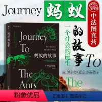 [正版]出版公司直发 蚂蚁的故事 全方位讲述蚂蚁进化历程 蚂蚁习性 蚂蚁社会诞生 通过蚂蚁社会反观人类社会 昆虫科普蚂