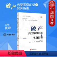 [正版]中法图 典型案例剖析与实务指南 广东省管理人业务丛书 清算个人法律服务案件办案技巧实务工具