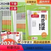 同步阅读素养测试 福建版(下册) 小学一年级 [正版]福建专版2024新版阳光同学同步阅读素养测试B版A版一年级二年级三