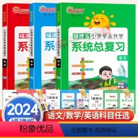 语文(福建专版) 小学升初中 [正版]福建专版2024新版小学毕业升学系统总复习语文数学英语 六6年级考点大全与全真模拟