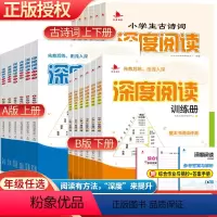 深度阅读训练册A版上册 小学一年级 [正版]2023新版深度阅读训练册A版B版小学一二三四五六年级语文上下册课外同步练习