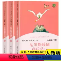 [人教版]尼尔斯骑鹅旅行记(上中下) [正版]尼尔斯骑鹅旅行记原著 快乐读书吧六年级下册 人民教育出版社曹文轩儿童文学