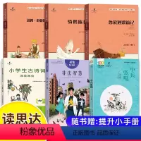[全套]读思达 六年级下 [正版]读思达丛书 悦读整本书阅读 2024年春六年级下 小兵张嘎 非法智慧 汤姆索亚历险记尼