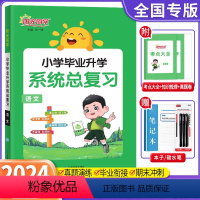 语文 小学升初中 [正版]2024新版小学毕业升学系统总复习语文通用版六年级语文考点大全与全真模拟练习册小升初刷题真题卷