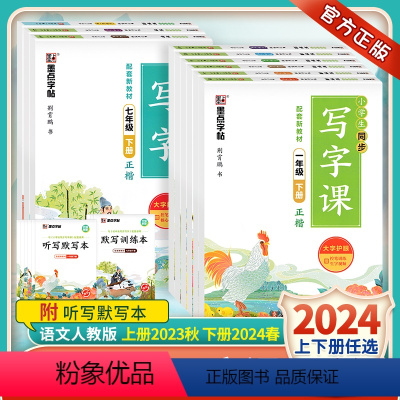 一年级 同步写字课(下册) 小学通用 [正版]2024新版墨点字帖小学生同步写字课一二三四五六年级下册上人教版小学初中生