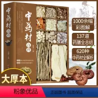 [正版]中药材百科中药材书籍大全图解中药书籍中药配方大全中医药书籍大全中草药彩图大全书彩图处方调理中草药书中医养生书籍