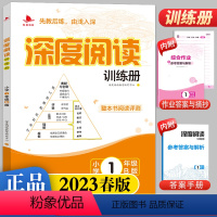语文 一年级下 [正版]2023春版深度阅读训练册小学一年级B版人教版注音版1年级语文上下册通用课外练习册阅读理解看图说