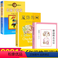 [正版]长袜子皮皮三年级经典书目四年级五全套3册夏洛的网小学 窗边的小豆豆南海出版社6-12岁课外阅读故事书非注音外国