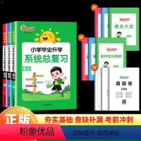 [3册]语+数+英 全国版 小学升初中 [正版]2024新版阳光同学小升初系统总复习真题卷语文数学英语人教浙江专版 小学