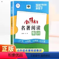 语文 小学升初中 [正版]2024新版培优新帮手小升初名著阅读集训小学语文 三四五六年级现代文阅读名著文化常识专项训练小