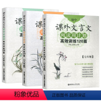 7-9年级 课外文言文(全3本) 七年级/初中一年级 [正版]初中语文数学英语计算题专项训练 七年级上册下册数学有理数加