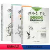 7-9年级 课外文言文(全3本) 七年级/初中一年级 [正版]初中语文数学英语计算题专项训练 七年级上册下册数学有理数加