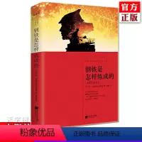 [正版]钢铁是怎样炼成的 原著全译本完整版未删节 初中生小学生课外阅读书籍 外国文学世界名著小说 成长励志正能量