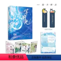 [正版] 等月光 木甜 青春校园暗恋成真初恋救赎青现代都市甜宠言情小说实体书籍 大鱼文化 过秋天 作者