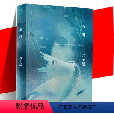 [正版] 逝川 迟子建作品 短篇小说集精装 收录北国一片苍茫 采浆果的人 沉睡的大固其固 微风入林等散文集小说书