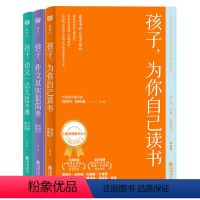 大语文三书(套装三册) [正版]任选 大语文三书套装三册 孩子为你自己读书+语文一点儿也不难+作文其实很简单 《愿你慢慢