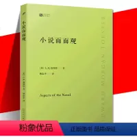 [正版]小说面面观 经典写作课E.M.福斯特看得见风景的房间作者小说美学文学批评小说书籍外国文学 小说七个层面分九章