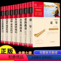 [正版]全套7册 小学六年级课外书必读童年书高尔基爱的教育小英雄雨来经典书目上册下册原著爱丽丝漫游奇境 快乐读书吧6老